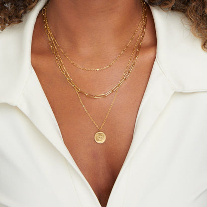 Janie Coin Layered Necklace
